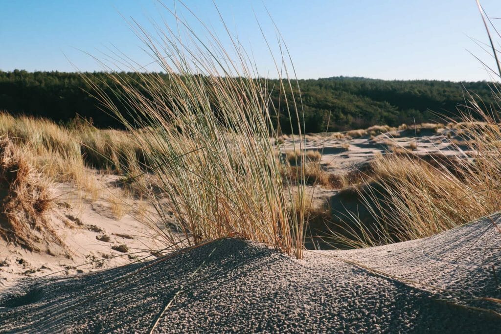 dune randonnée des crocs