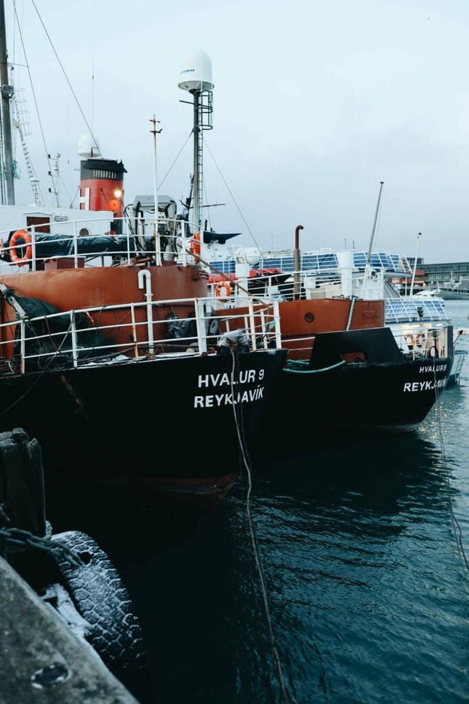 bateau port reykjavik