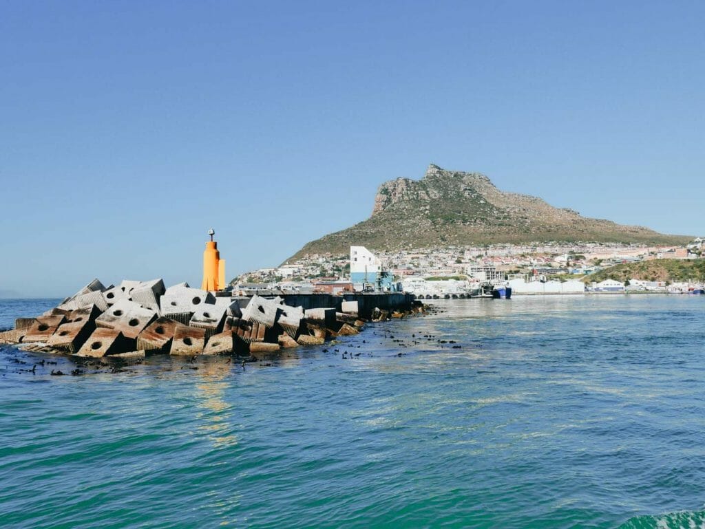 phoques de Duiker Island