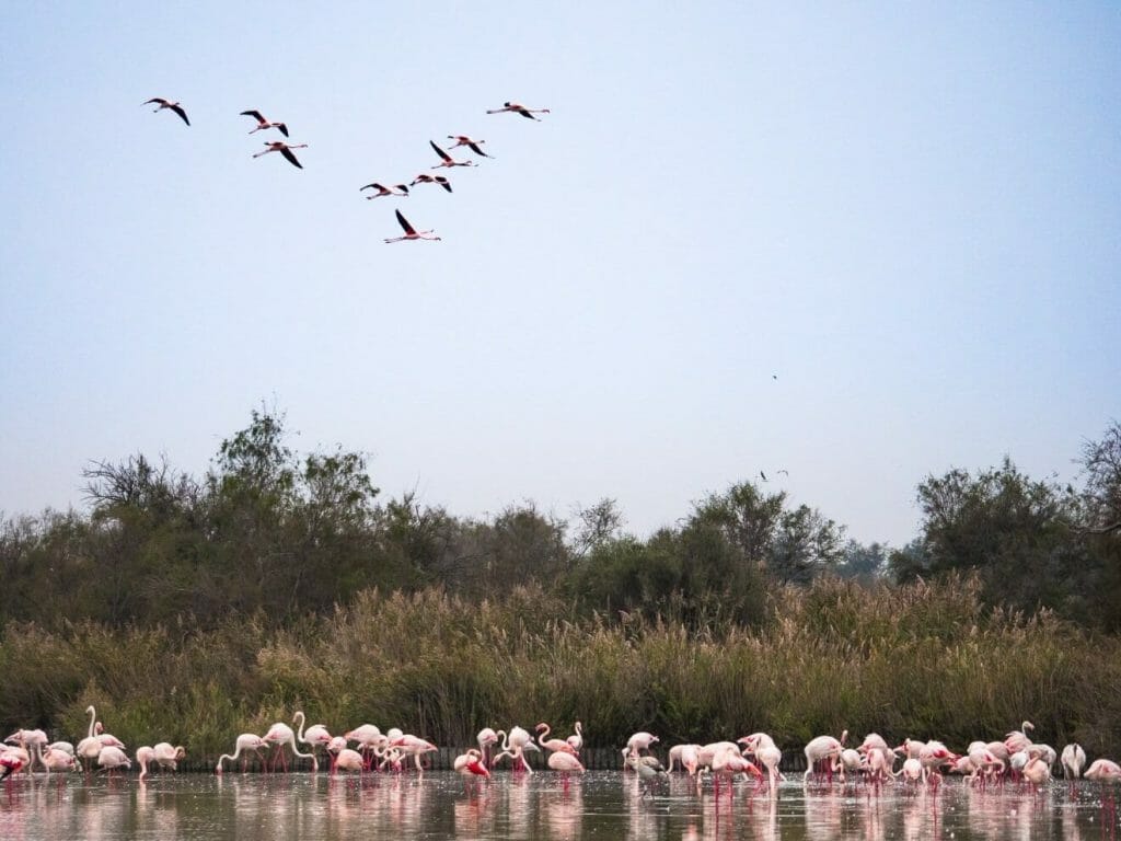 Camargue Grands sites de France