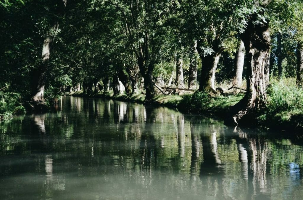 Marais poitevin