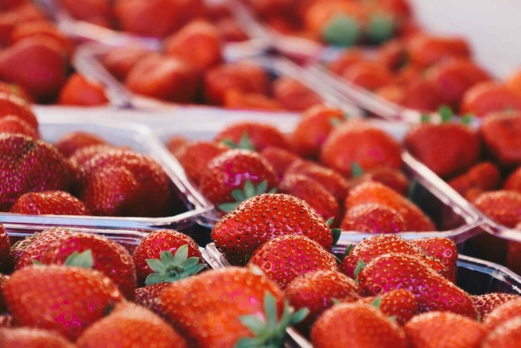 fraise périgord