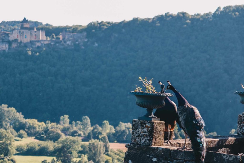 visiter jardin marqueyssac