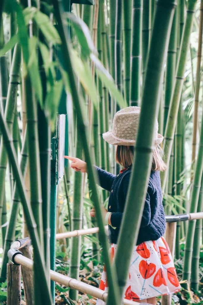 visiter Jardins de Claude Monet