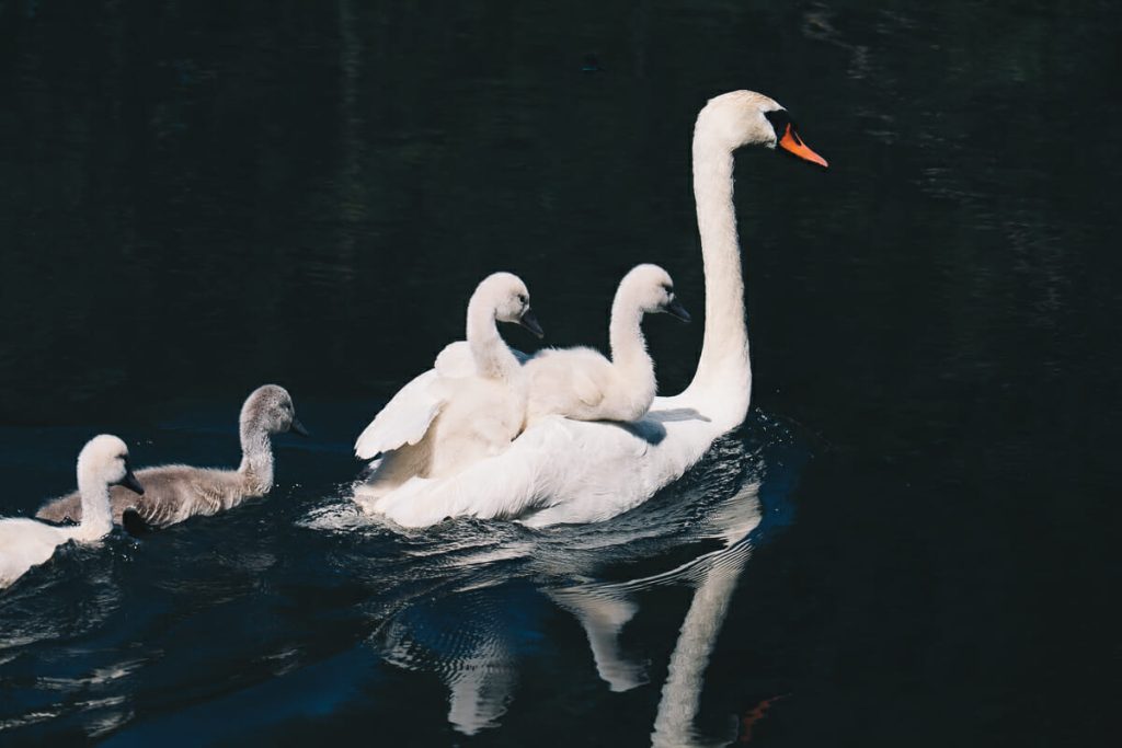 véloroute vallee somme v30