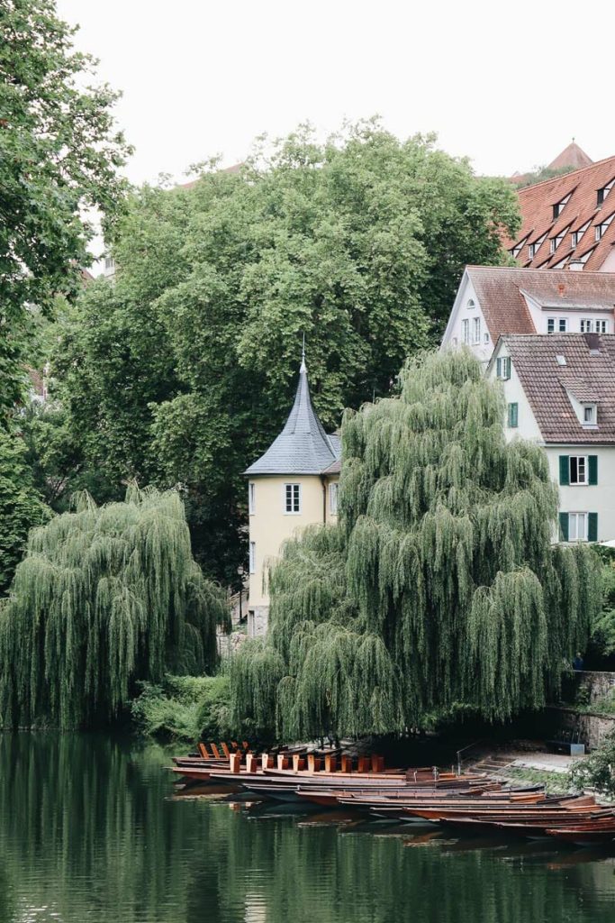 Tour en barque traditionnelle Stocherkahn sur le Neckar à Tubingue