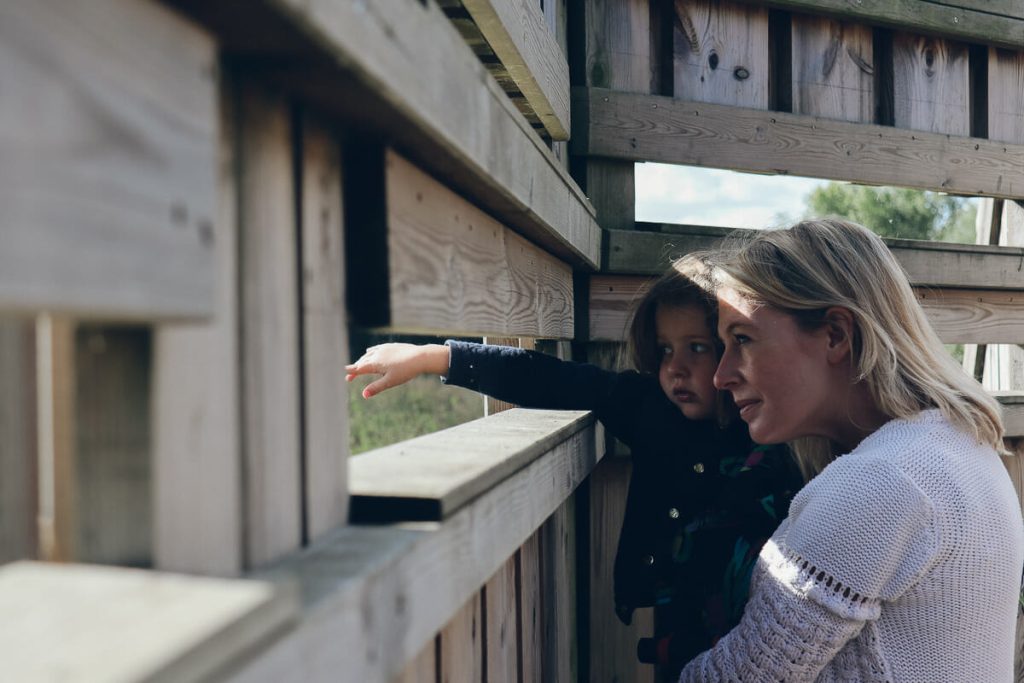 visiter le Parc du Marquenterre