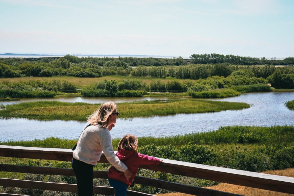 visiter le Parc du Marquenterre