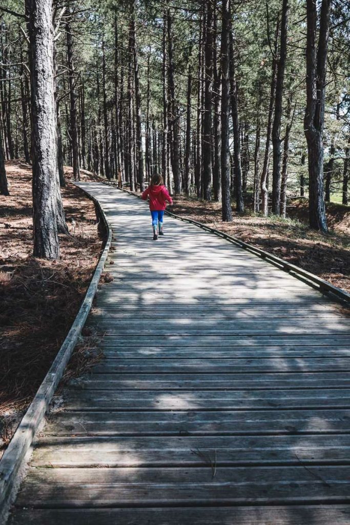 visiter le Parc du Marquenterre