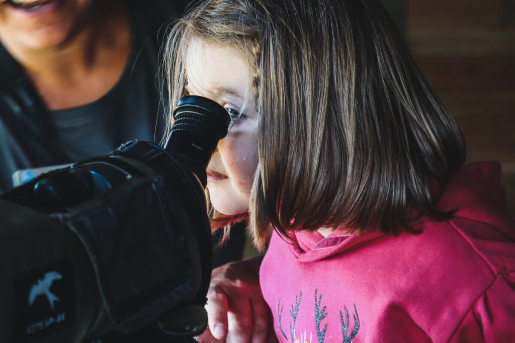 visiter le Parc du Marquenterre