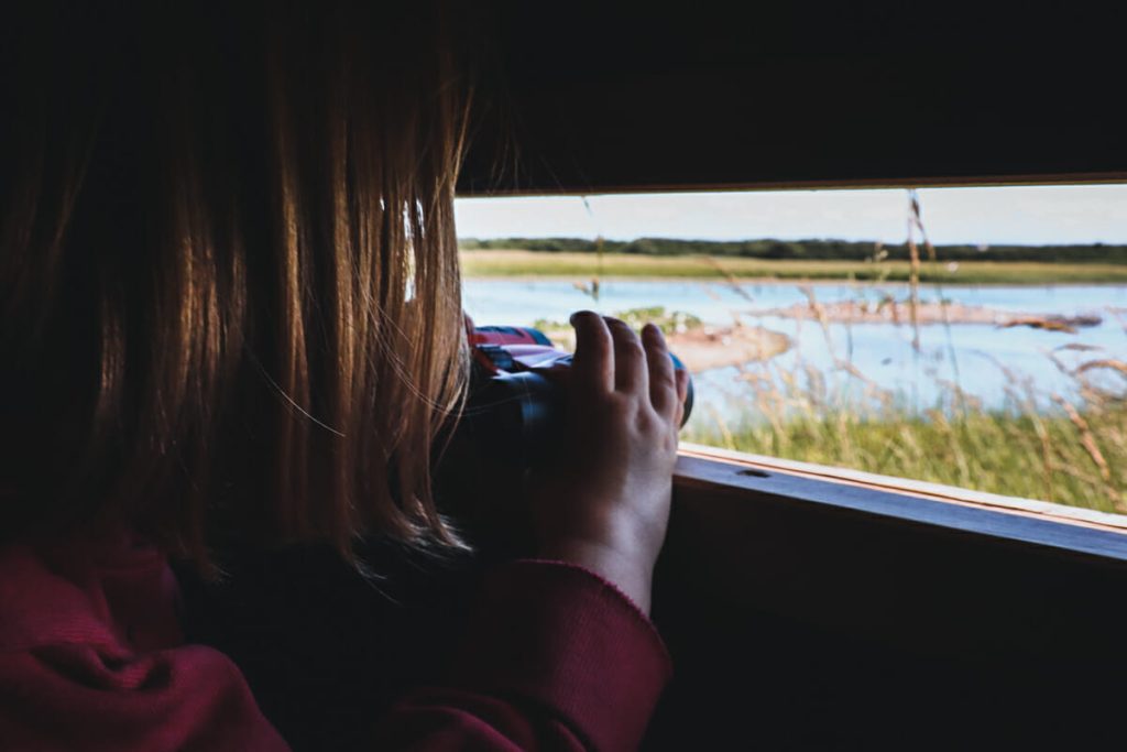 visiter le Parc du Marquenterre