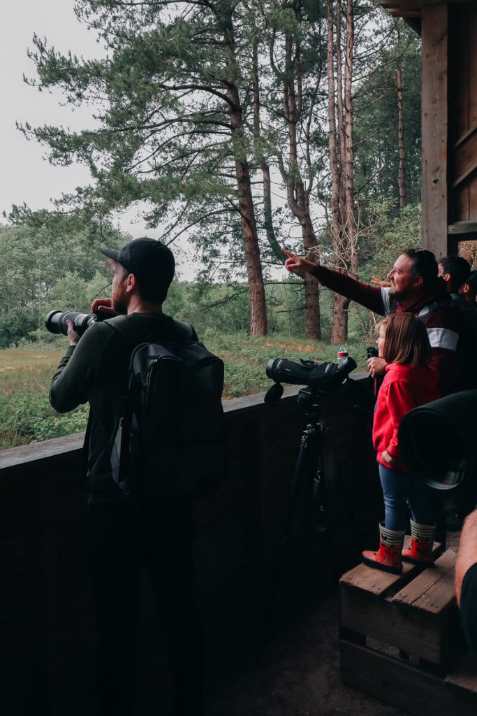 visiter le Parc du Marquenterre