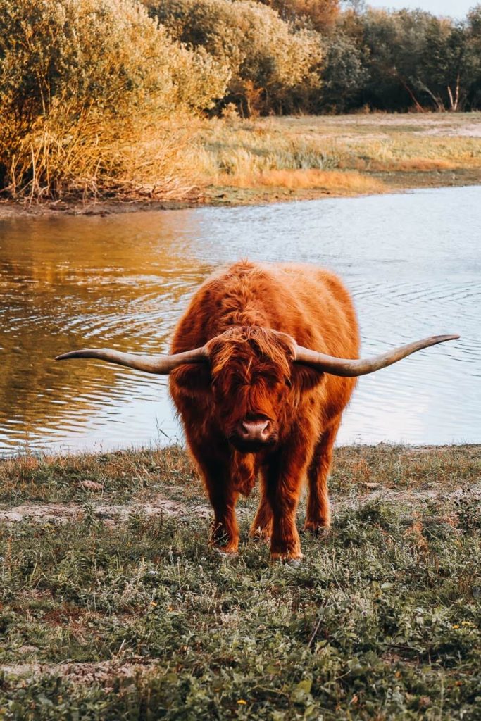 visiter le Parc du Marquenterre
