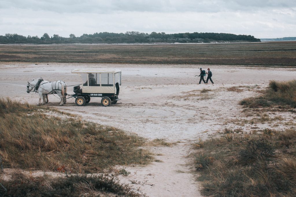 visiter le Parc du Marquenterre