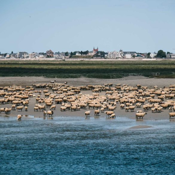 visiter saint valery sur somme