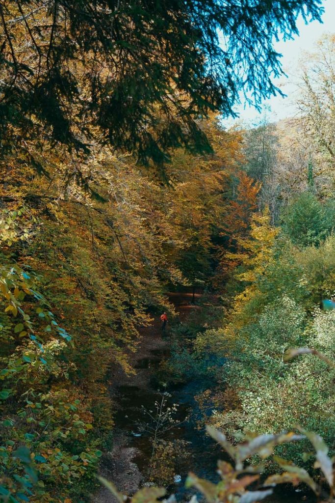 vallée du hérisson