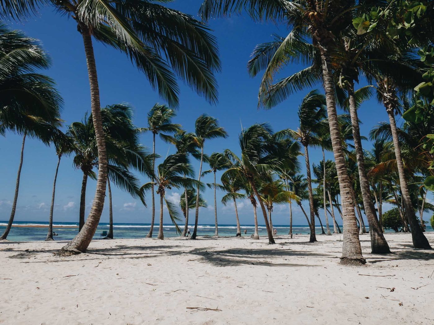 Les plages de Guadeloupe