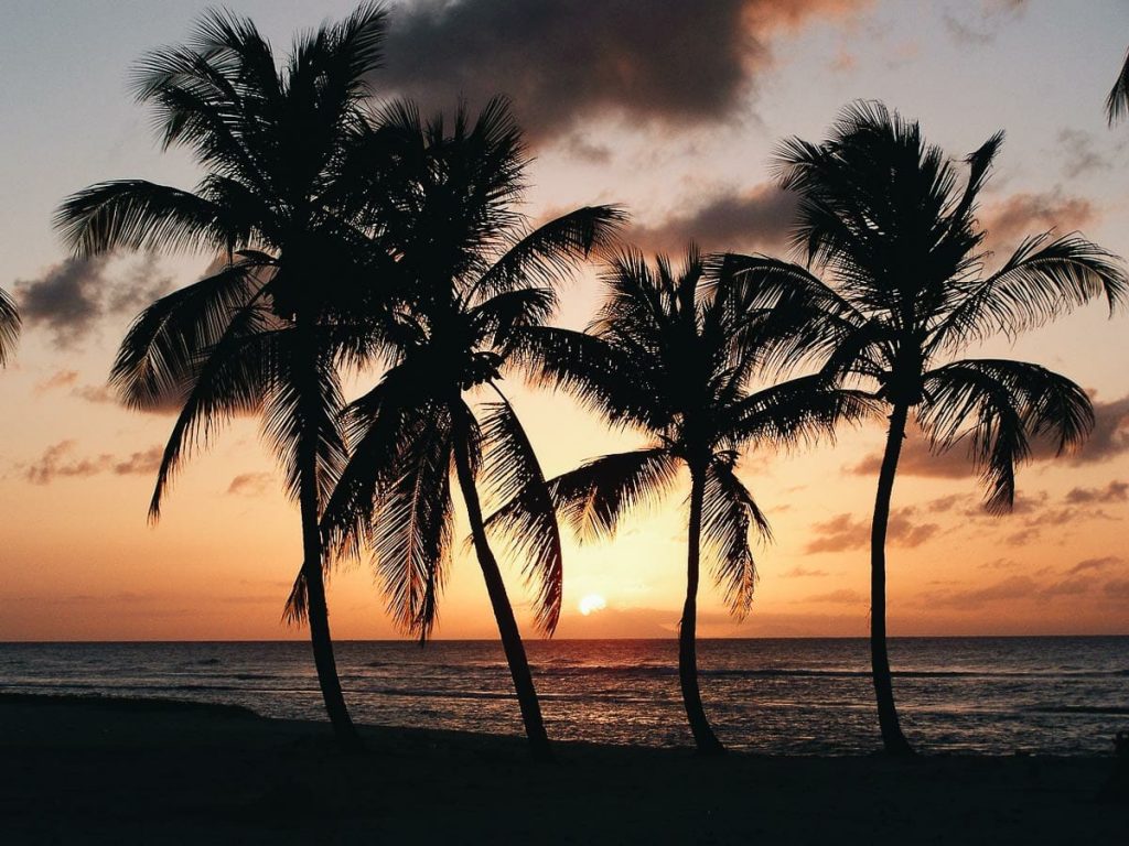 Les plages de Guadeloupe