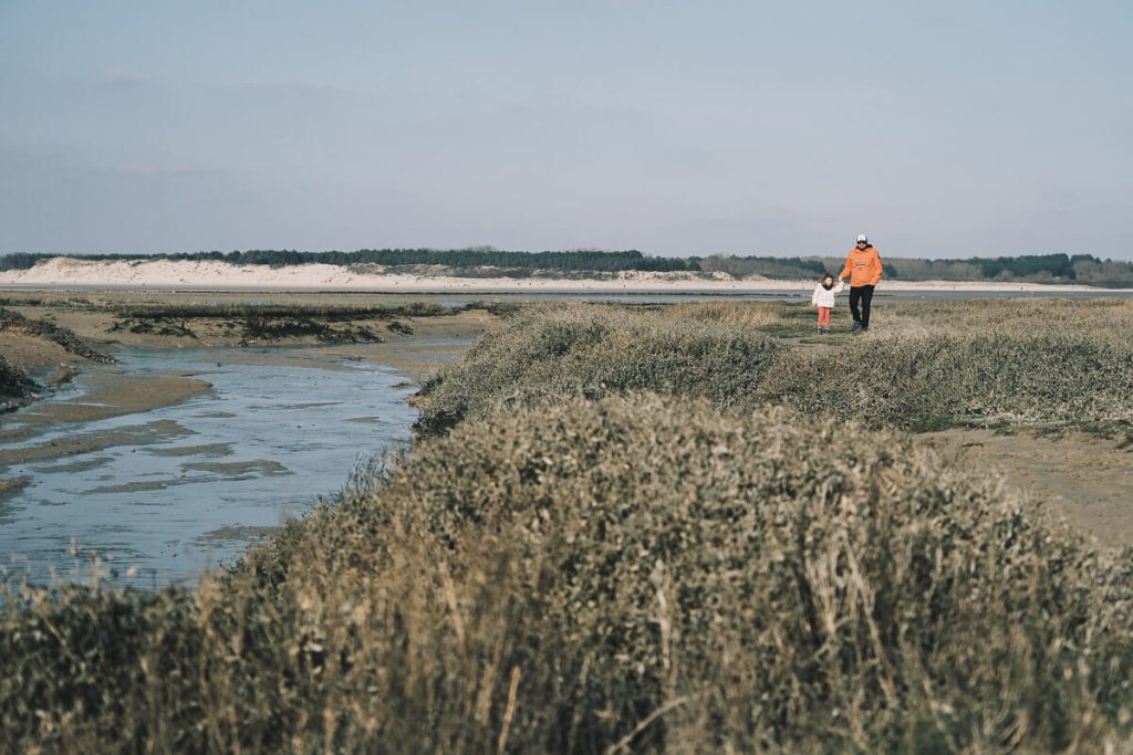 randonnée en baie de somme