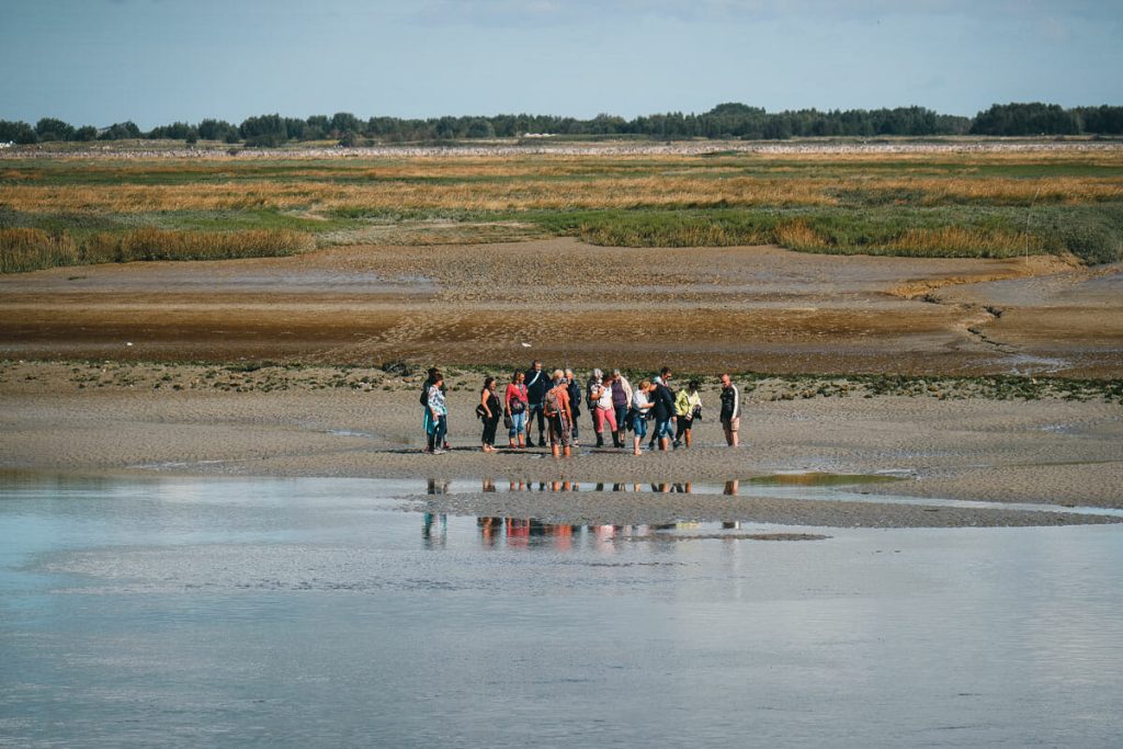 randonnée en baie de somme
