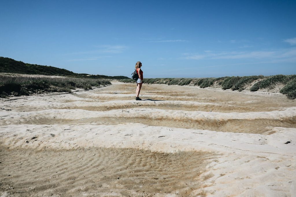 randonnée en baie de somme