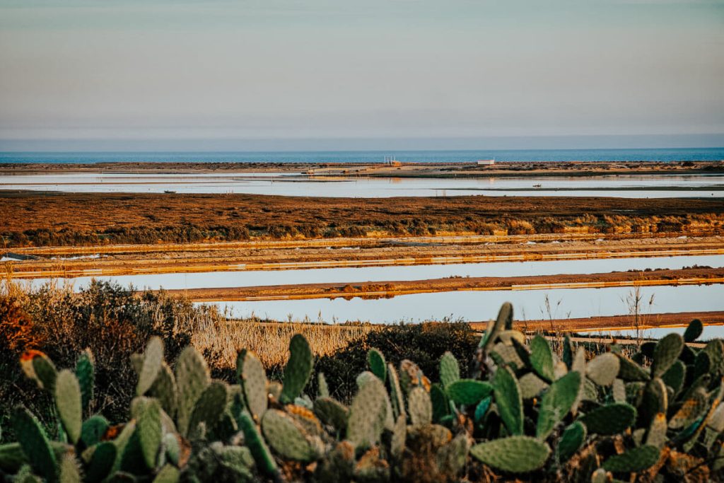 visiter faro et ses environs