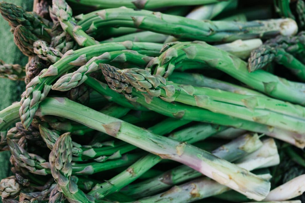Visiter Drôme Provençale