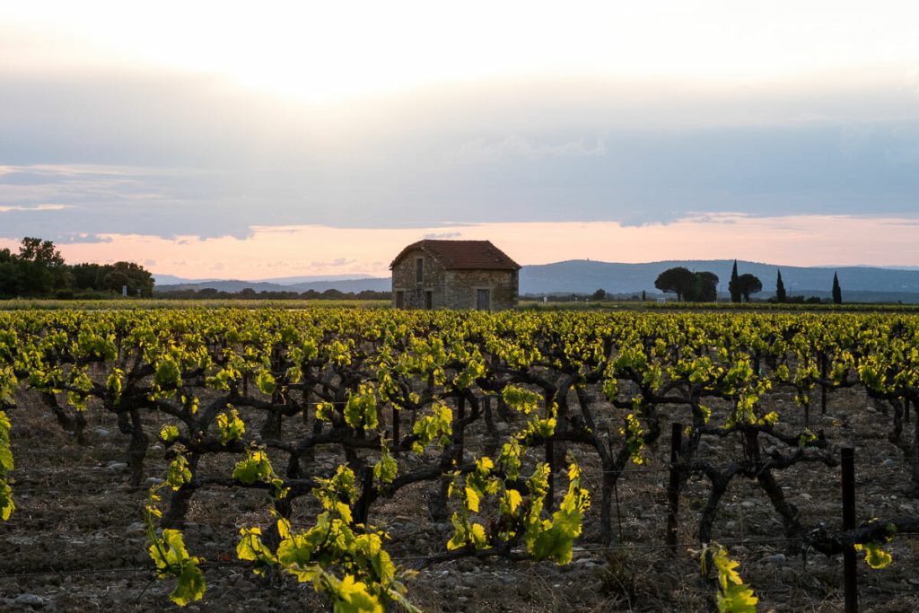 Drôme Provençale vin