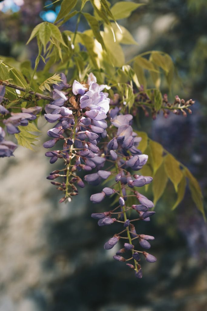 Drôme Provençale villages perchés