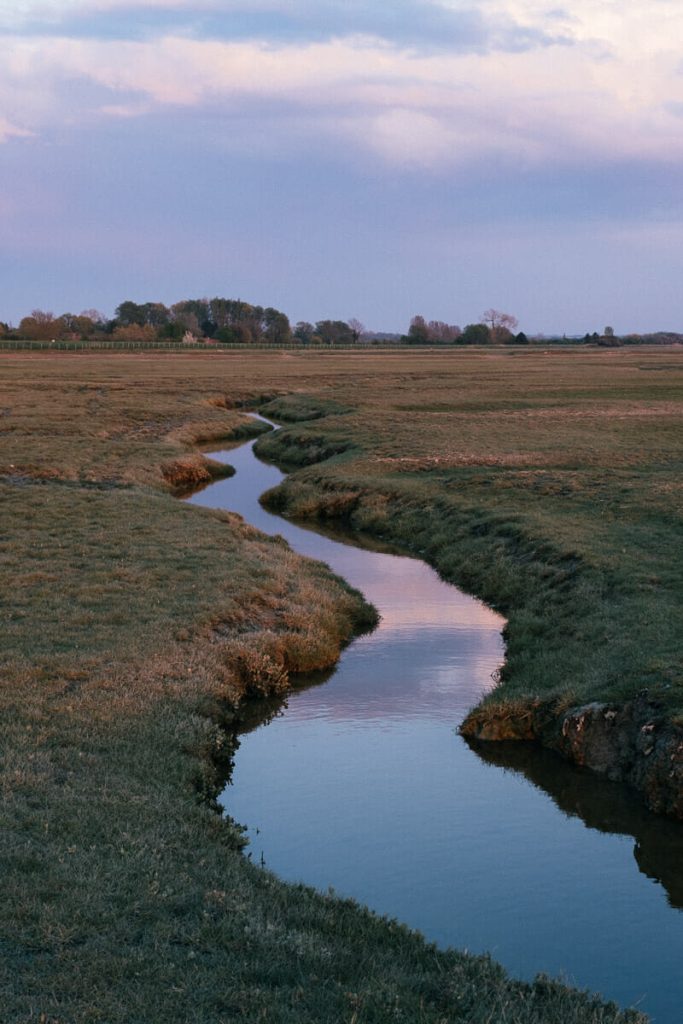 activités nature Baie de Somme