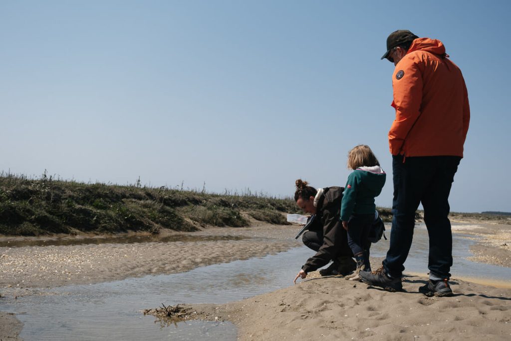 activités nature Baie de Somme