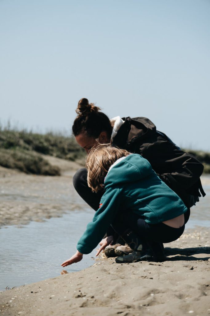 activités nature Baie de Somme