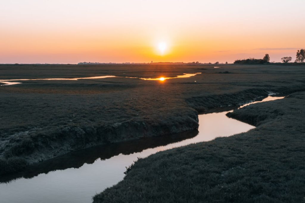 activités nature Baie de Somme
