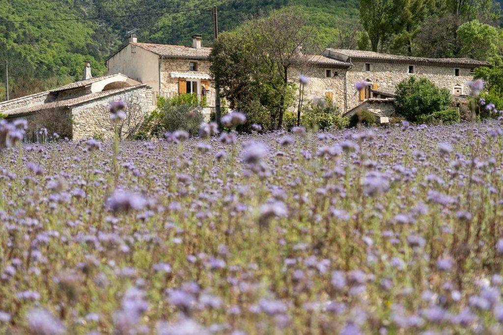 Visiter Drôme Provençale