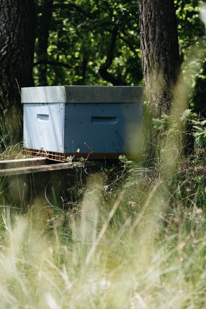 Visiter Drôme Provençale