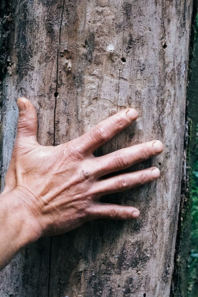 Visiter les Gorges de l’Ardèche