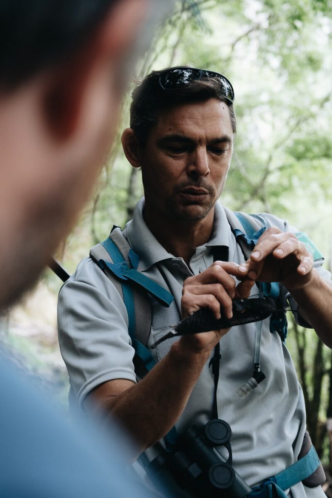 Visiter les Gorges de l’Ardèche