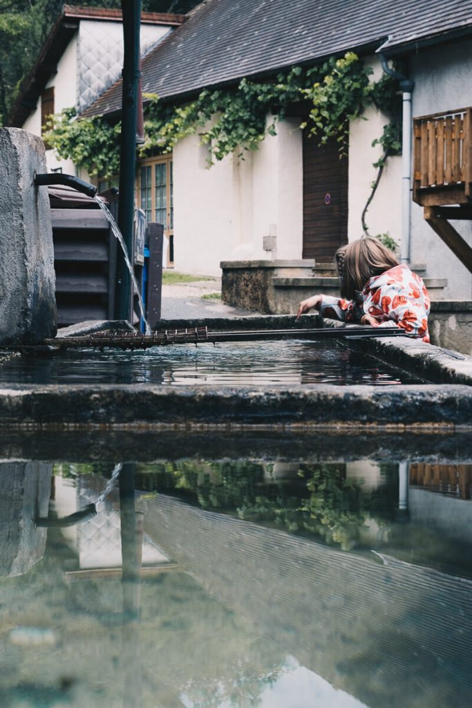 visiter arbois ses environs