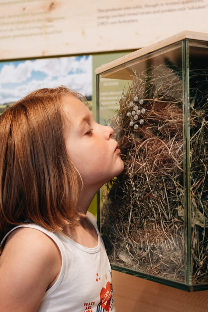 maison comté poligny