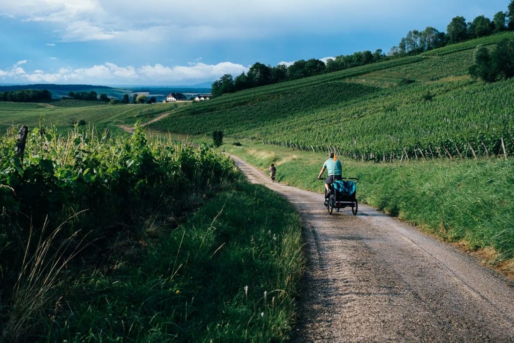 visiter arbois ses environs