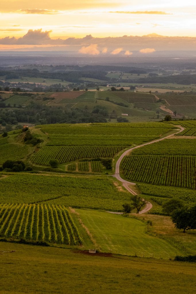 visiter arbois ses environs