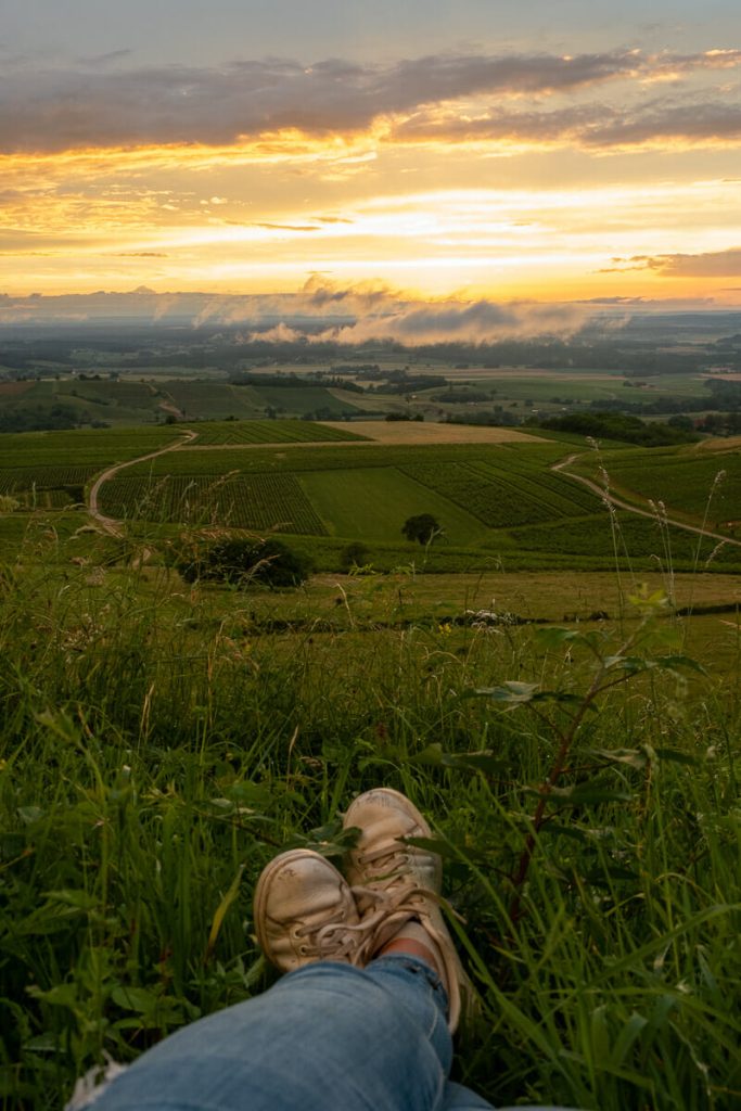 visiter arbois ses environs