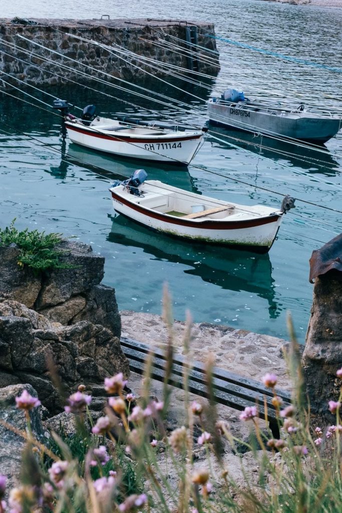 visiter cotentin port racine