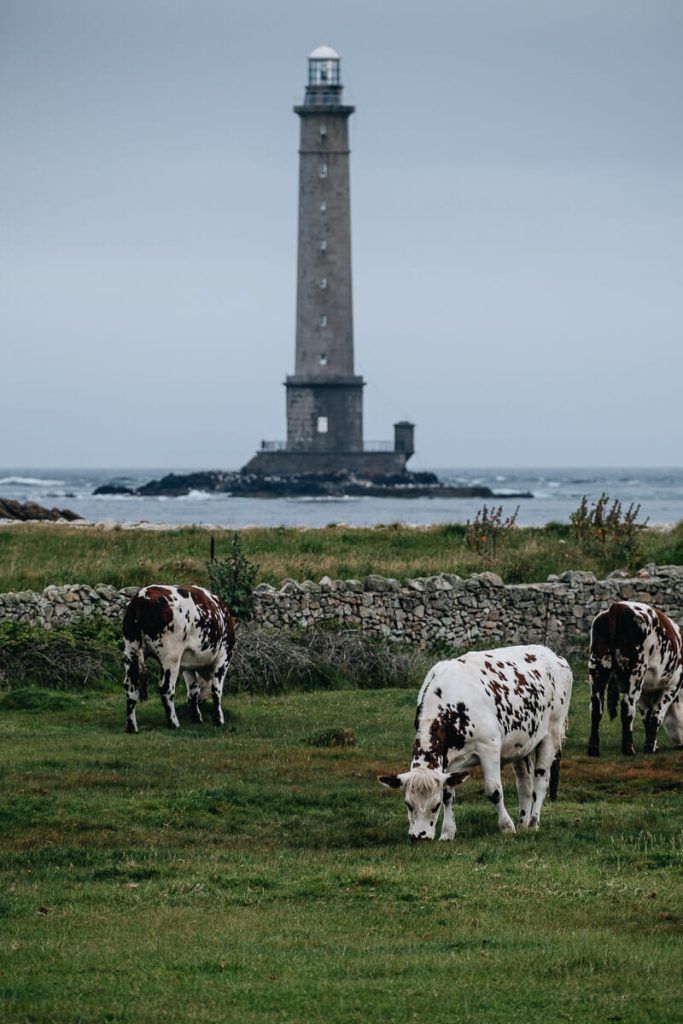 visiter cotentin phare