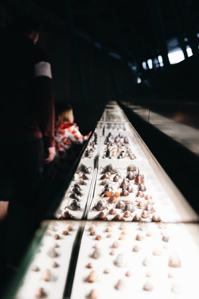 millau micropolis