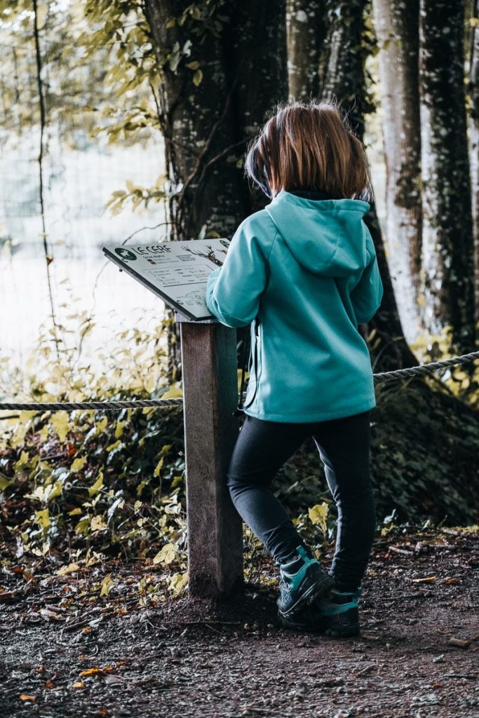 visiter la foret d'orient