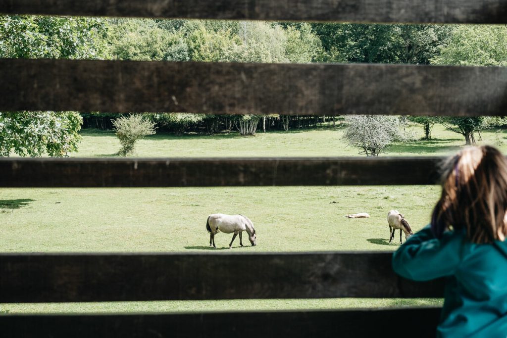 espace Faune de la Forêt d’Orient