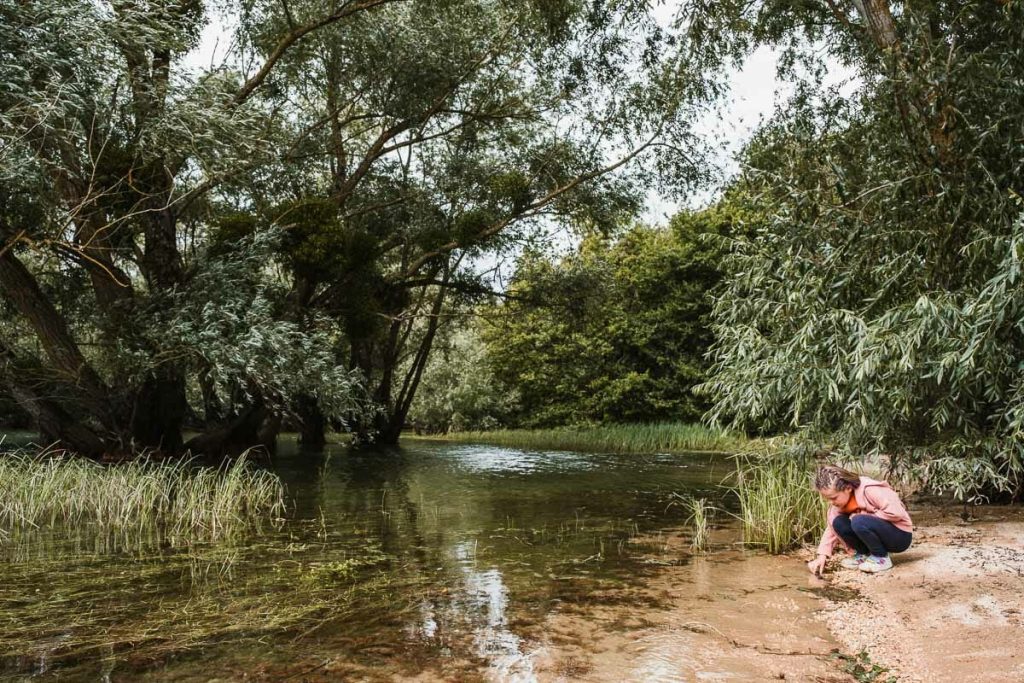 visiter la foret d'orient