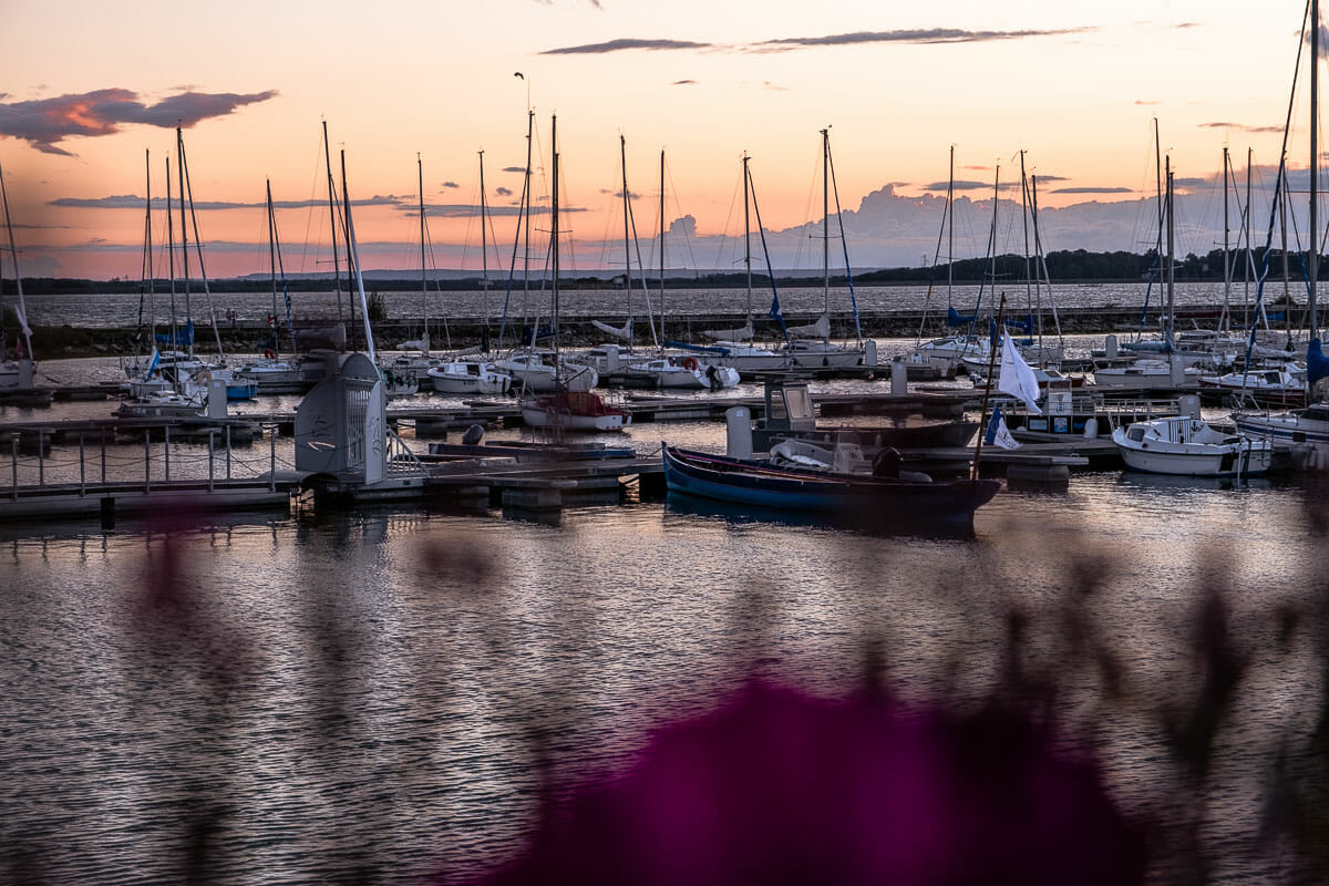 visiter la foret d'orient