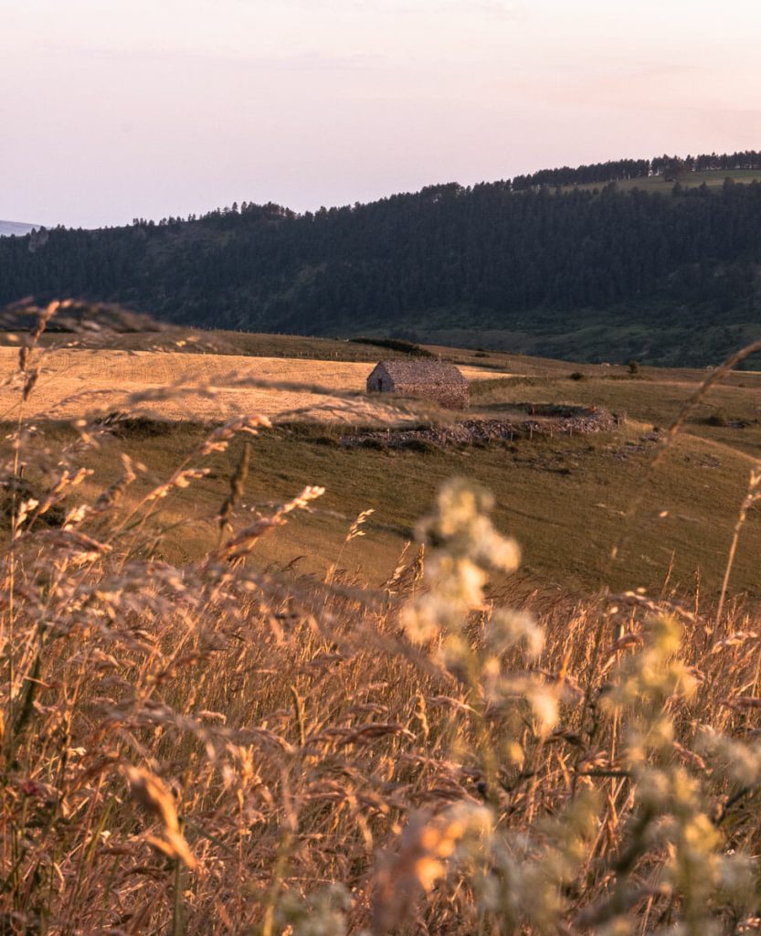 lozère cévennes